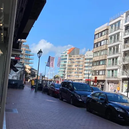Heel Mooie Studio Met Garage Vlakbij De Zee En De Winkels * Knokke-Heist